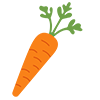 Carrot Amigurumi Crochet Pattern